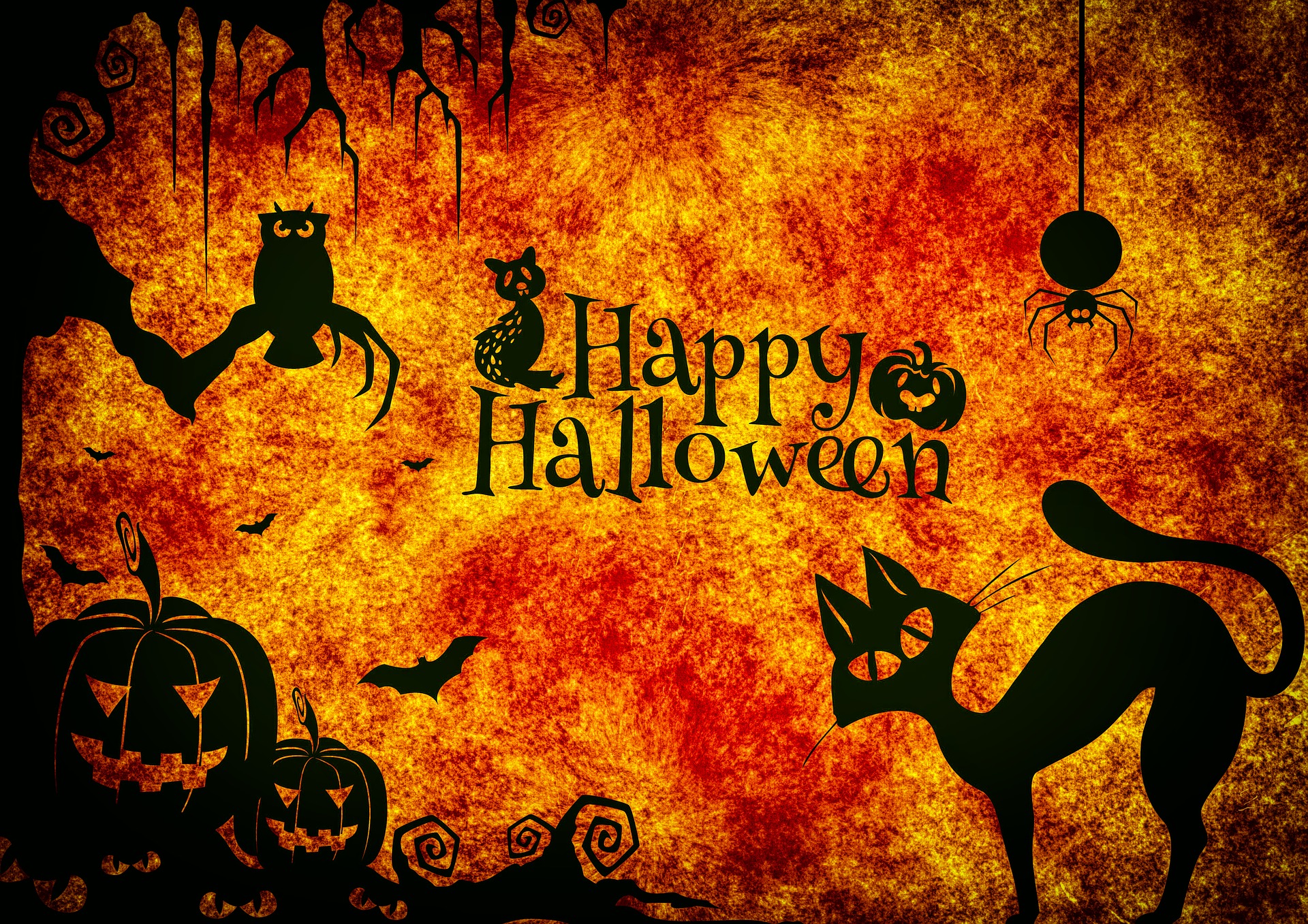 Besondere Halloween-Karten mit dem WOW Effekt